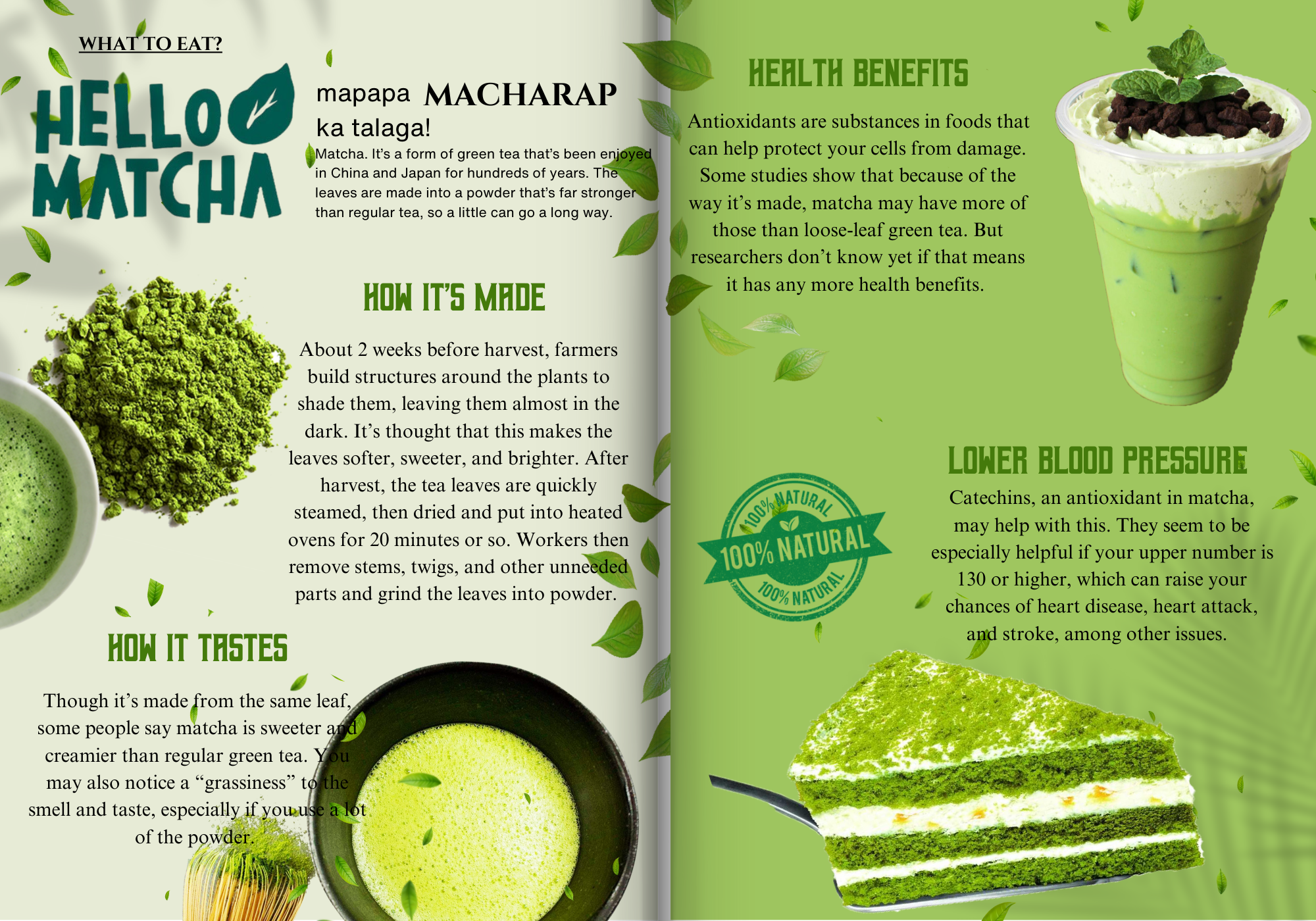 Hello Matcha Infographic